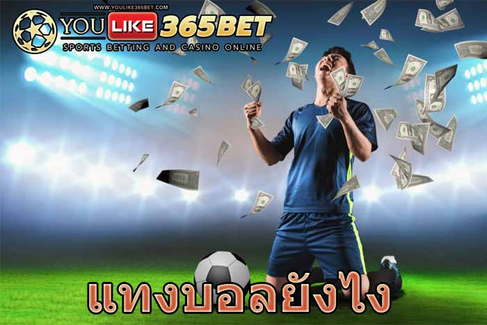 แทงบอลยังไง